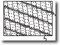 Crenulationsfoliation